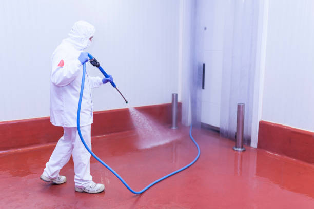 Best Oil Spill Cleanup  in Westmont, CA